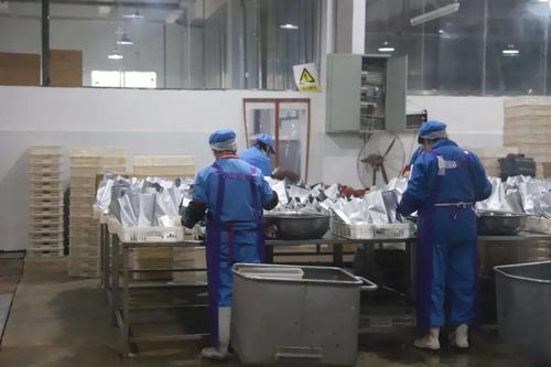 排查冷鏈冷凍產品，守護舌尖上的安全 —— 網絡服務如何筑牢餐桌防線