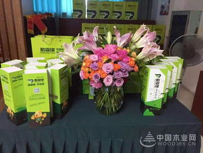 共謀發(fā)展，鵬森緣柳州客戶交談會(huì)盛大舉行，禮品花卉銷售迎春綻放